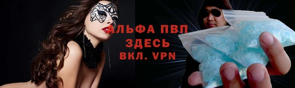 мяу мяу мука Аркадак